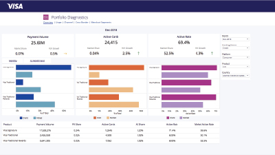 Product screen shot of portfolio diagnostics