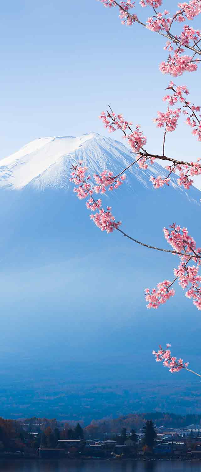 Mont Fuji