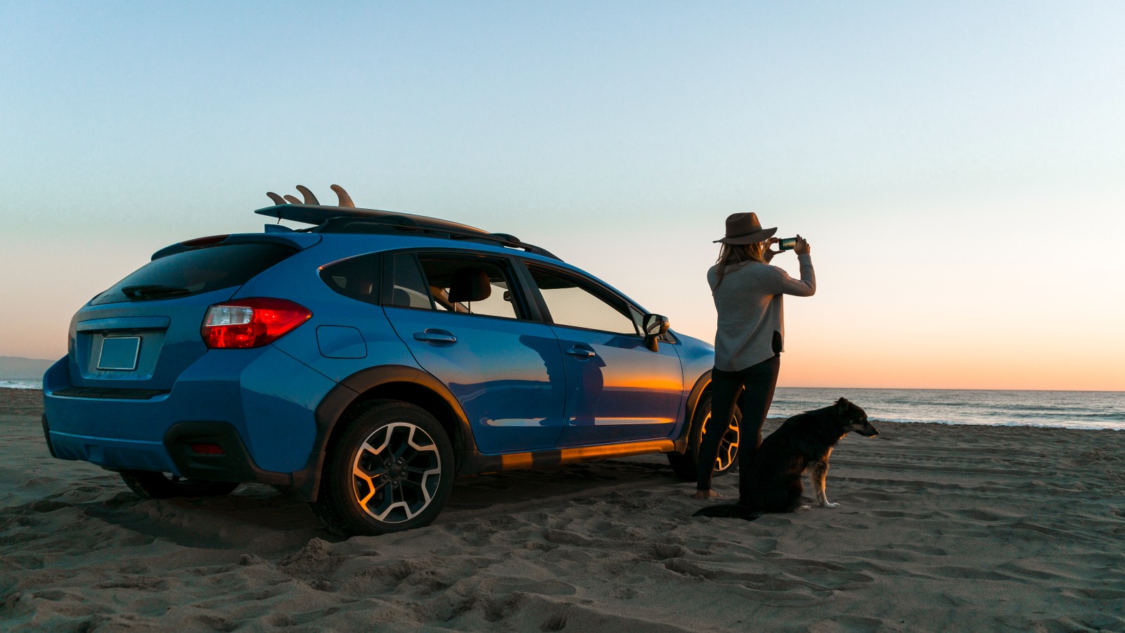 Car person and dog sunset