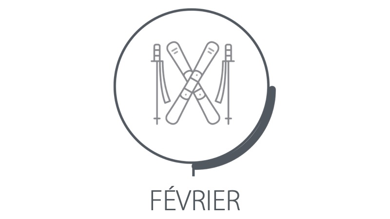 fevrier platinum