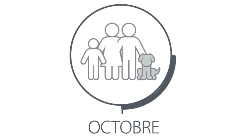 octobre platinum